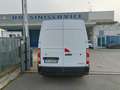 Renault Master MASTER FNAX FURGONE FRIGO ZANOTTI Blanc - thumbnail 4