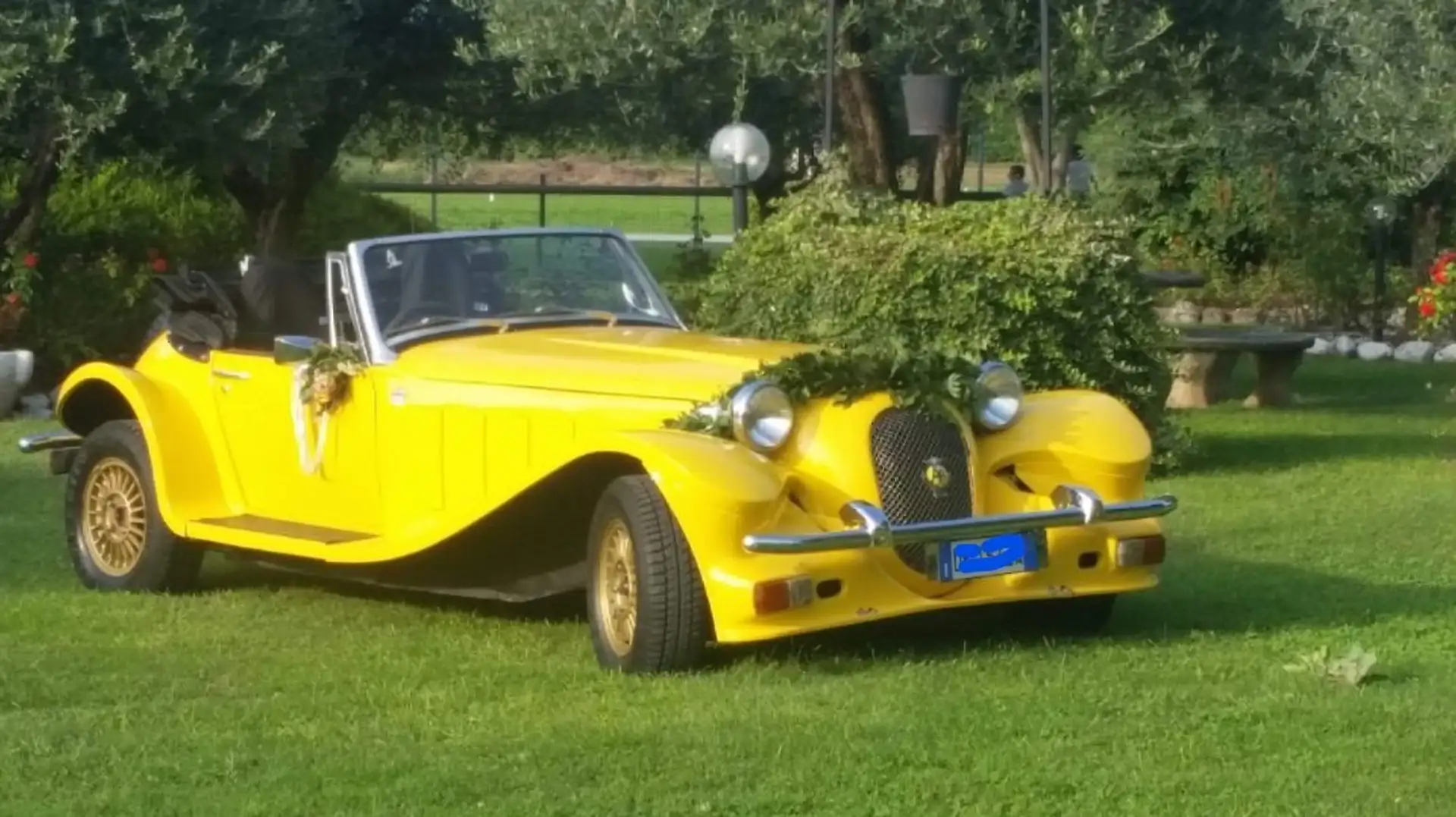 Panther Westwinds Kallista Amarillo - 2