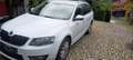 Skoda Octavia Combi 1,6 TDI Ambition 4x4 Weiß - thumbnail 6