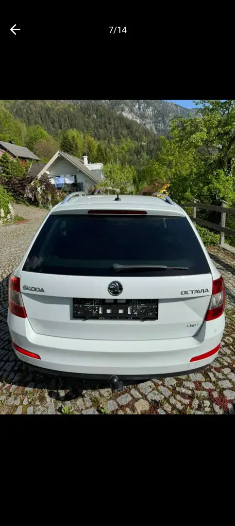 Skoda Octavia Combi 1,6 TDI Ambition 4x4 Weiß - 2