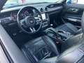 Ford Mustang Mustang 2.3 EcoBoost (EU6.2)  TVAC 21% Blauw - thumbnail 15