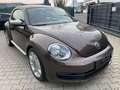Volkswagen Beetle The Beetle 1.4 TSI DSG Braun - thumbnail 8