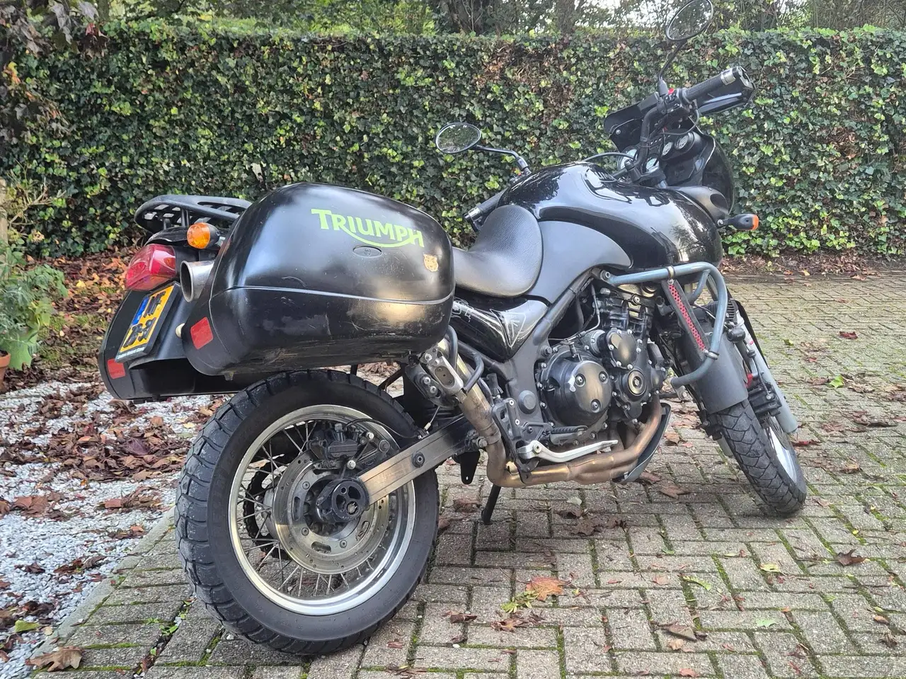 Triumph Tiger 955i