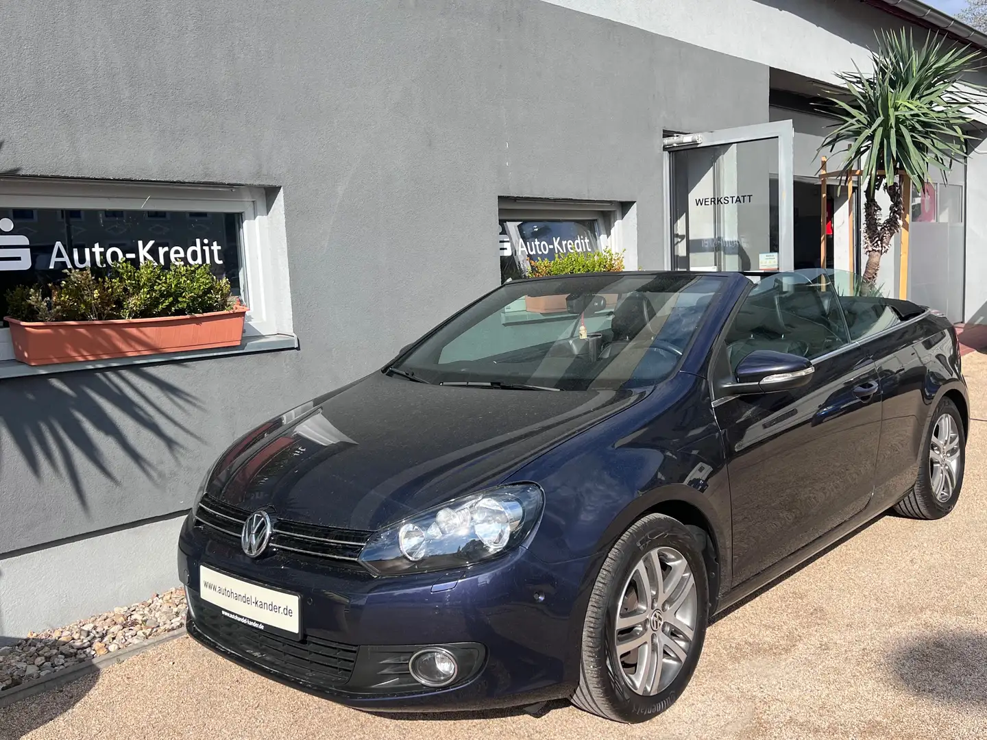 Volkswagen Golf Cabriolet Basis*TÜV NEU* Violett - 1