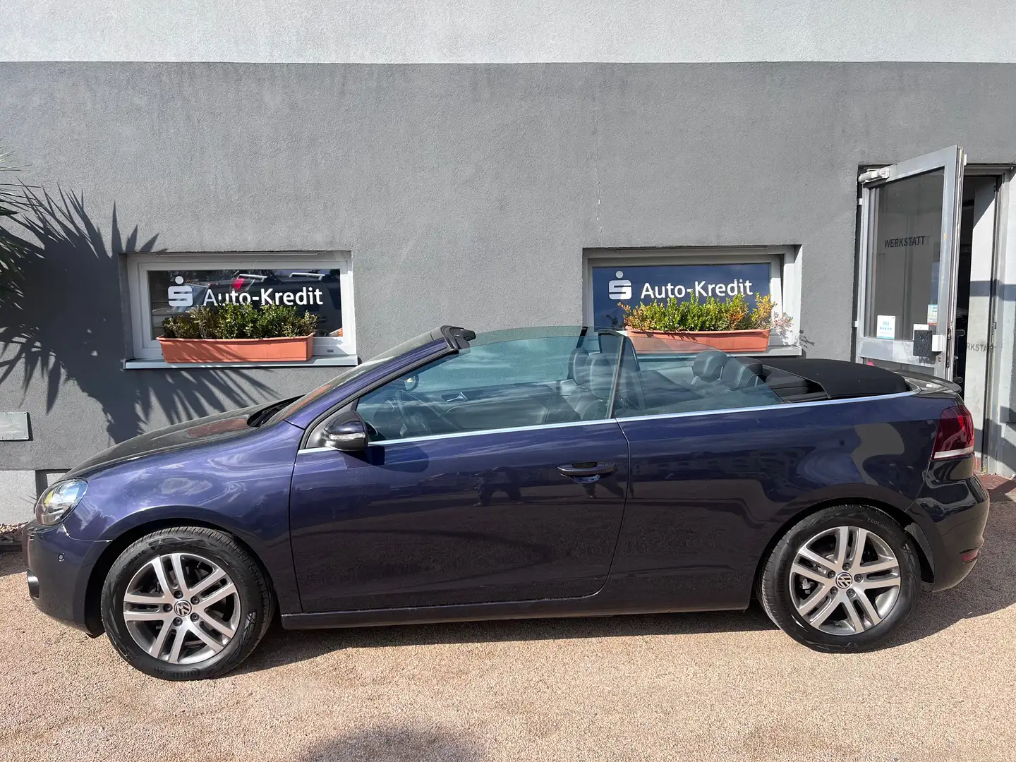 Volkswagen Golf Cabriolet Basis*TÜV NEU* Violett - 2