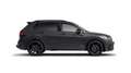 Volkswagen Tiguan 1.5 TSI DSG R-LINE*STHZG*BLACK-STYLE*IQ.L Grau - thumbnail 9