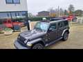 Jeep Wrangler Wrangler Unlimited 2.0 T Sahara SKY ONE TOUCH Gris - thumbnail 2