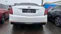 Cadillac CT6 3,6 AUT, AWD, TÜV 01/25, LEDER, KAMERA, LED Wit - thumbnail 5