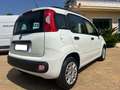 Fiat Panda Panda 1.2 Easy Bianco - thumbnail 8