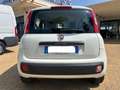 Fiat Panda Panda 1.2 Easy Bianco - thumbnail 7