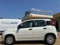 Fiat Panda Panda 1.2 Easy Bianco - thumbnail 4