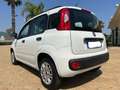 Fiat Panda Panda 1.2 Easy Bianco - thumbnail 6