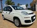 Fiat Panda Panda 1.2 Easy Bianco - thumbnail 5