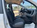 Fiat Panda Panda 1.2 Easy Bianco - thumbnail 12