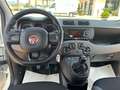 Fiat Panda Panda 1.2 Easy Bianco - thumbnail 10