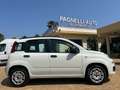 Fiat Panda Panda 1.2 Easy Bianco - thumbnail 3