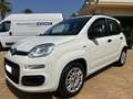 Fiat Panda Panda 1.2 Easy Bianco - thumbnail 2