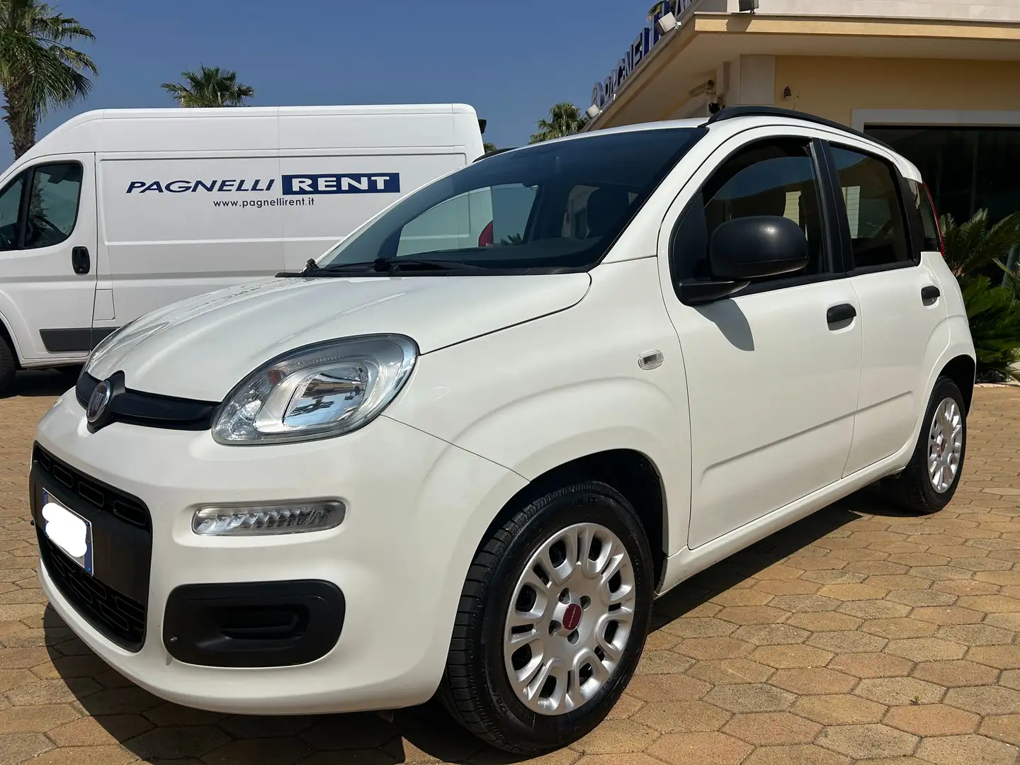 Fiat Panda Panda 1.2 Easy Bianco - 2