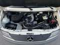 Mercedes-Benz Sprinter 312D *Klima* Standheizung* - thumbnail 18