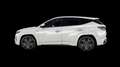 Hyundai TUCSON 1.6 TGDI 169kW HEV Tecno Sky Auto Blanco - thumbnail 6
