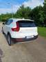 Volvo XC40 XC40 D3 Momentum Geartronic Weiß - thumbnail 3