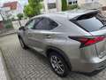 Lexus NX 300h NX 300h Executive-Line Auriu - thumbnail 6