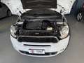 MINI Countryman S All4 COOPER AUTOMATICA 4x4 Blanc - thumbnail 8