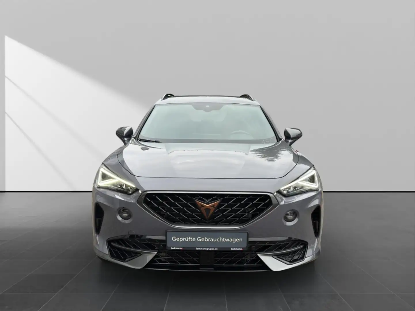 CUPRA Formentor 2.0 4Drive *Memory*Navi*CarPlay*Winter* Grau - 2