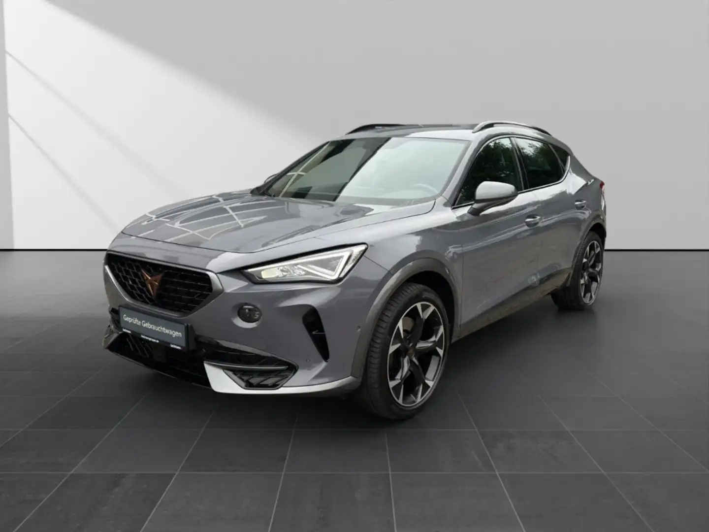 CUPRA Formentor 2.0 4Drive *Memory*Navi*CarPlay*Winter* Grau - 1