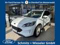 Ford Kuga Plug-In Hybrid Cool & Connect 2.5 Duratec 225PS Au Bianco - thumbnail 1