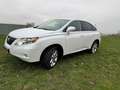 Lexus RX 350 President - thumbnail 18