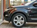 Land Rover Range Rover Evoque 2.2D ED4 150PK ///✅XENON / KEY LESS START /LEDER Noir - thumbnail 30