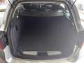 Renault Laguna 2.0 dCi 150CV SporTour Nav Argento - thumbnail 15