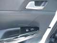 Kia Sportage 1,6 T-GDI AWD GT-Line DCT Weiß - thumbnail 39