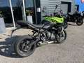 Triumph Tiger Sport Vert - thumbnail 3