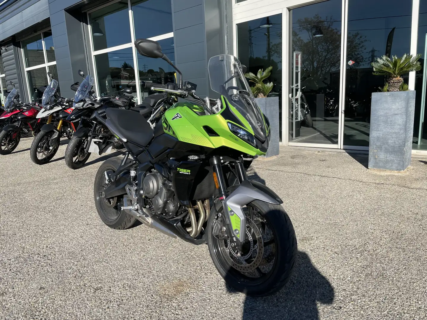 Triumph Tiger Sport Vert - 2