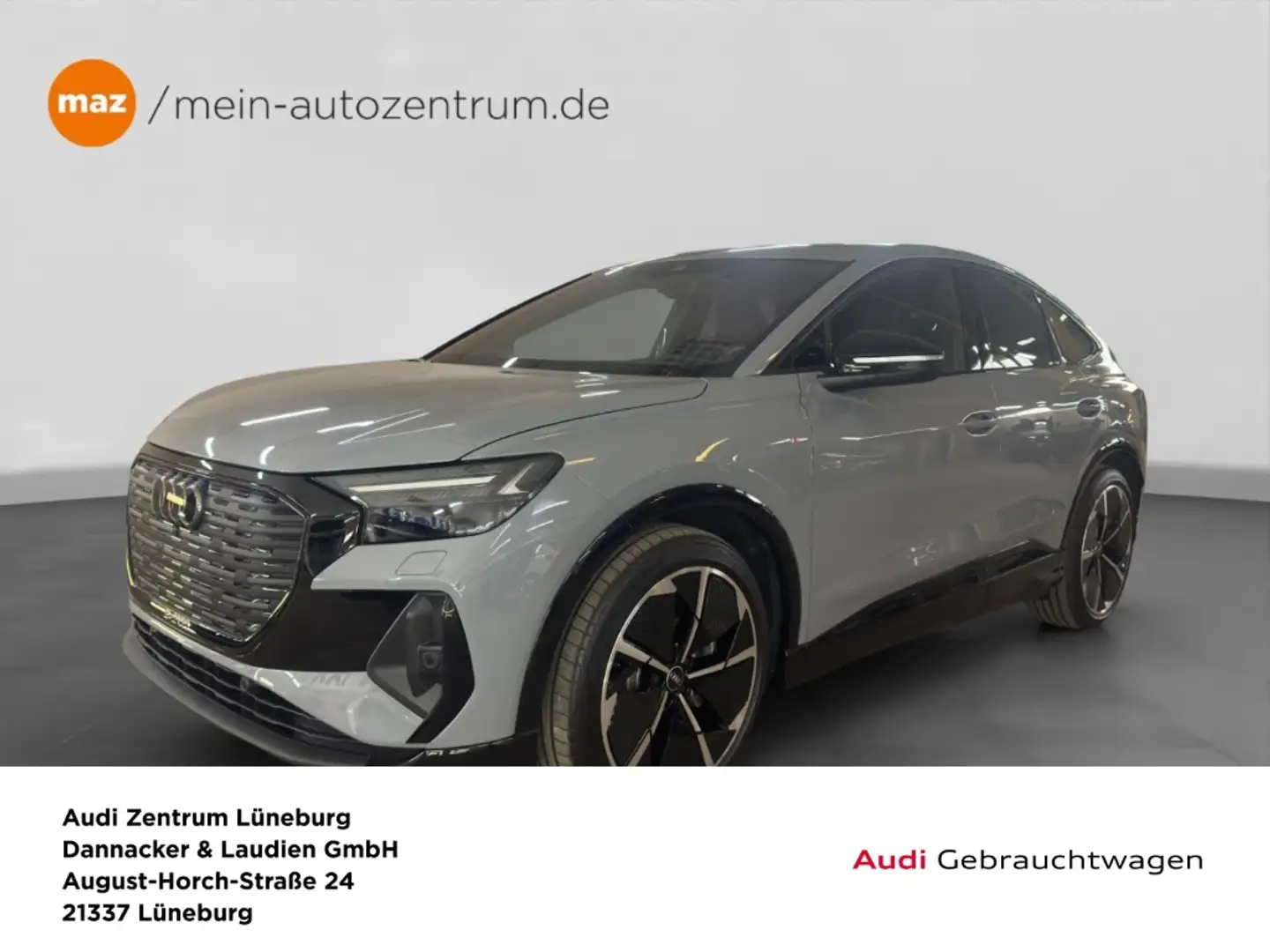 Audi Q4 e-tron Sportback 45 quattro S-Line Edition Alu Matrix-LED Grau - 1