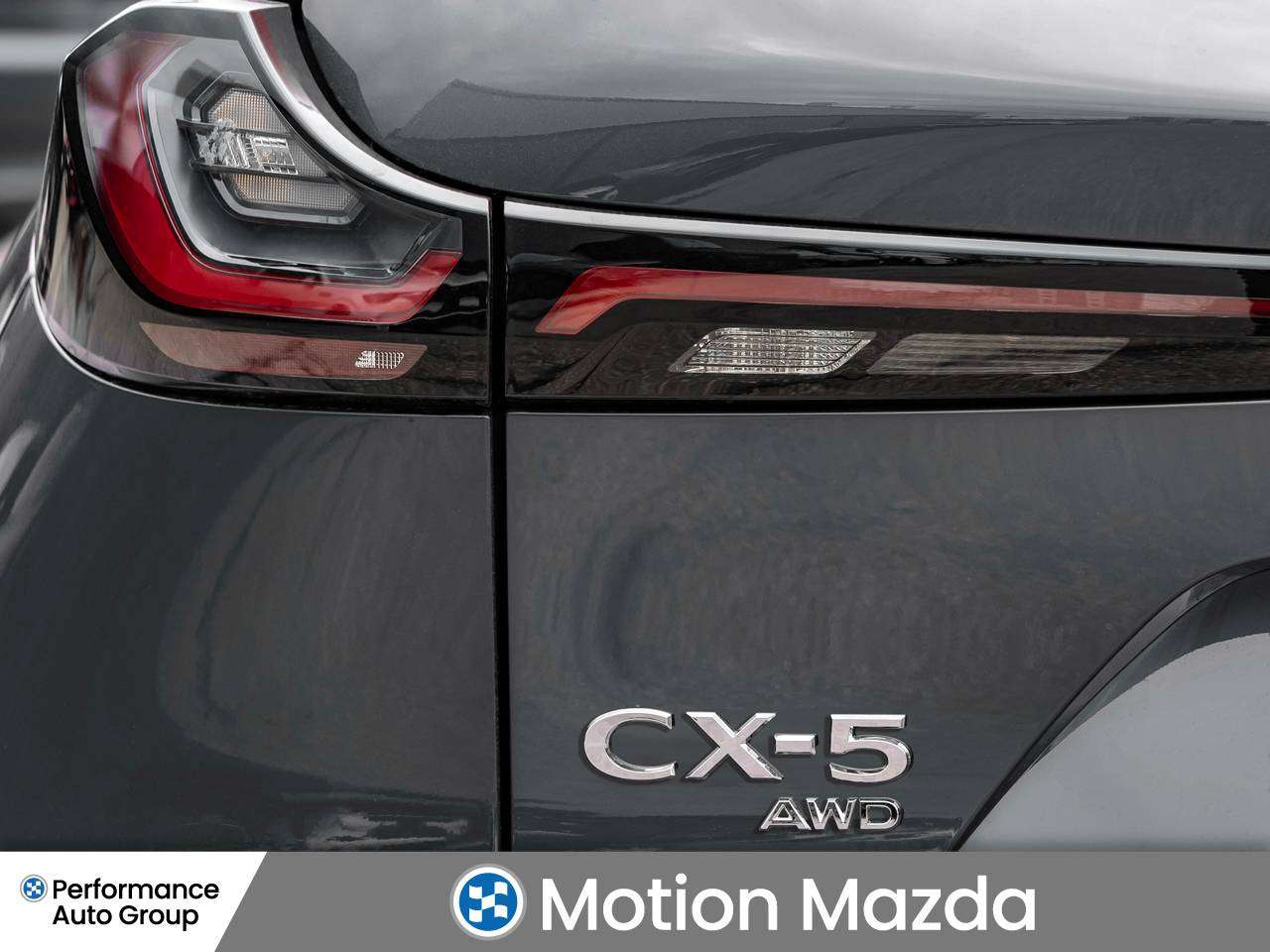 Image 8