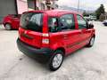 Fiat Panda Panda 1.2 MyLife 69cv Rosso - thumbnail 7