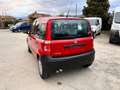 Fiat Panda Panda 1.2 MyLife 69cv Rosso - thumbnail 6