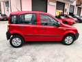 Fiat Panda Panda 1.2 MyLife 69cv Rosso - thumbnail 8