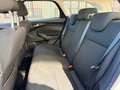 Ford Focus Focus IV 2015 SW SW 1.5 tdci Titanium Business s Bianco - thumbnail 12