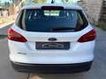 Ford Focus Focus IV 2015 SW SW 1.5 tdci Titanium Business s Bianco - thumbnail 7