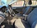 Ford Focus Focus IV 2015 SW SW 1.5 tdci Titanium Business s Bianco - thumbnail 9