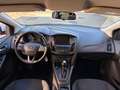 Ford Focus Focus IV 2015 SW SW 1.5 tdci Titanium Business s Bianco - thumbnail 13