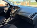 Ford Focus Focus IV 2015 SW SW 1.5 tdci Titanium Business s Bianco - thumbnail 10