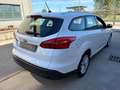 Ford Focus Focus IV 2015 SW SW 1.5 tdci Titanium Business s Bianco - thumbnail 3