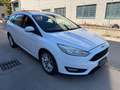 Ford Focus Focus IV 2015 SW SW 1.5 tdci Titanium Business s Bianco - thumbnail 1
