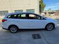 Ford Focus Focus IV 2015 SW SW 1.5 tdci Titanium Business s Bianco - thumbnail 5