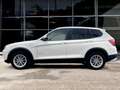 BMW X3 2.0 DIESEL 184 CV xdrive20d Futura Alb - thumbnail 8
